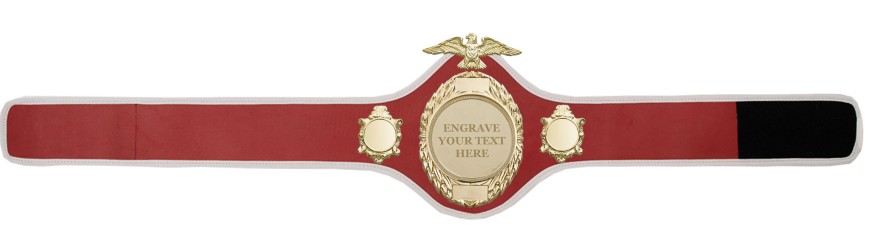 CHAMPIONSHIP BELT-PRO288/G/ENGRAVE - 10 COLOURS